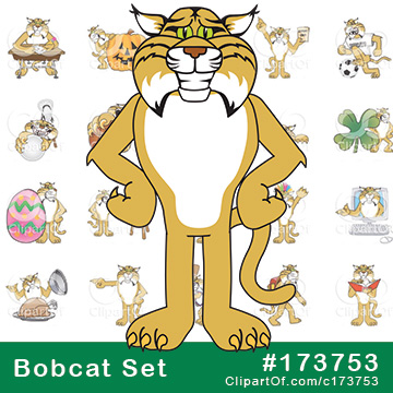 Bobcat Mascots [Complete Series] by Mascot Junction