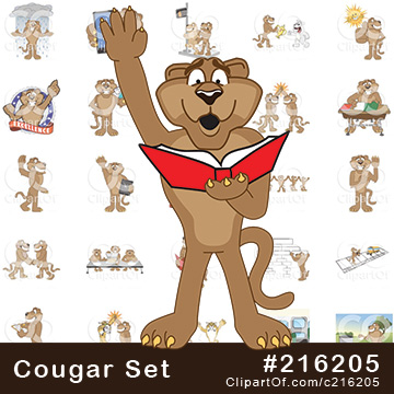 Cougar School Mascots [Complete Series] by Mascot Junction