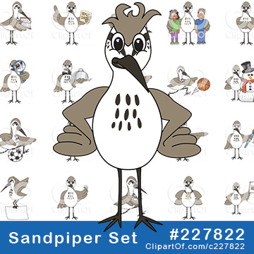 Sandpiper School Mascots [Complete Series] by Mascot Junction