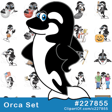 Killer Whale Orca School Mascots [Complete Series] by Mascot Junction