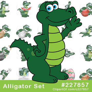 Alligator School Mascots [Complete Series] by Mascot Junction
