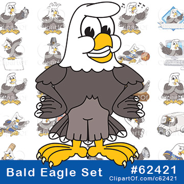 Bald Eagle Mascots [Complete Series] by Mascot Junction