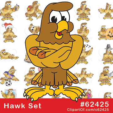 Hawk Mascots [Complete Series] by Mascot Junction