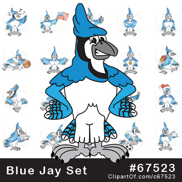 Blue Jay Mascots [Complete Series] by Mascot Junction