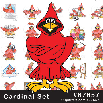 Cardinal Mascots [Complete Series] by Mascot Junction