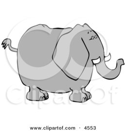 Big Elephant with Tusks