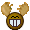 Smiling Moose