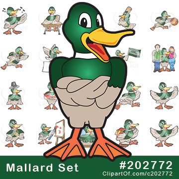 Mallard Duck Mascots [Complete Series] by Mascot Junction