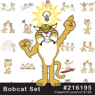 Bobcat School Mascots [Complete Series] #216195